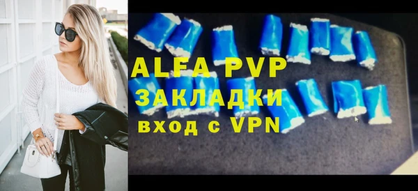 хмурый Алексин