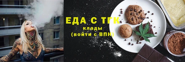 хмурый Алексин