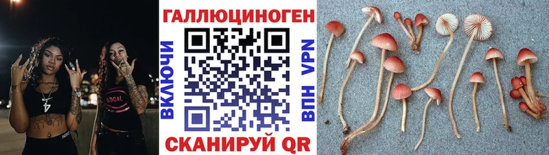 Псилоцибиновые грибы прущие грибы  Сыктывкар 