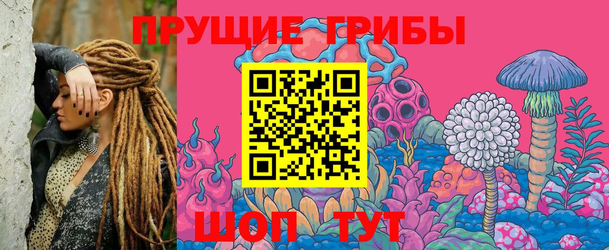 Галлюциногенные грибы прущие грибы Сыктывкар