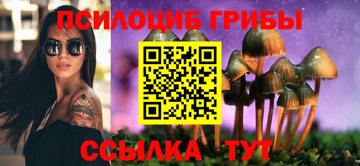 Псилоцибиновые грибы Psilocybine cubensis  Псилоцибиновые грибы Psilocybe  Вход с VPN  Сыктывкар 